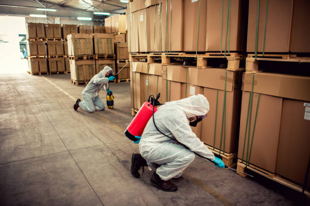 Best Local Pest Control Services  in Braham, MN