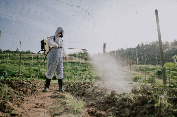 Best Affordable Pest Control Services  in Braham, MN