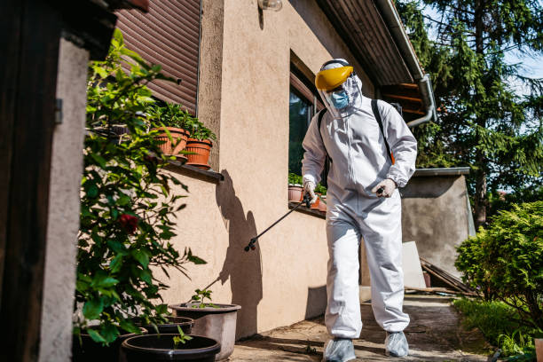 Best Affordable Pest Control Services  in Braham, MN