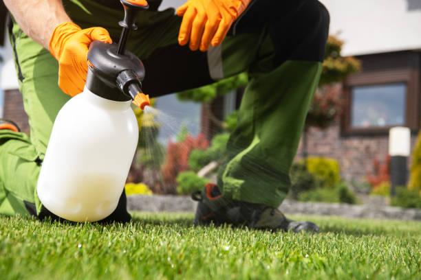 Best Pest Removal Services  in Braham, MN