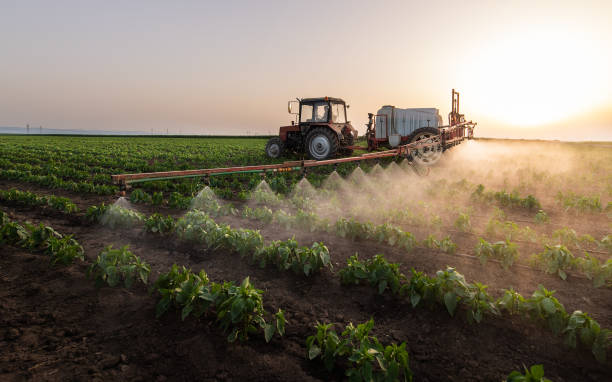 Best Pest Inspection Near Me  in Braham, MN