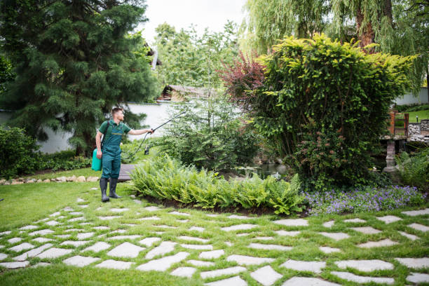 Best Mosquito Control Services  in Braham, MN