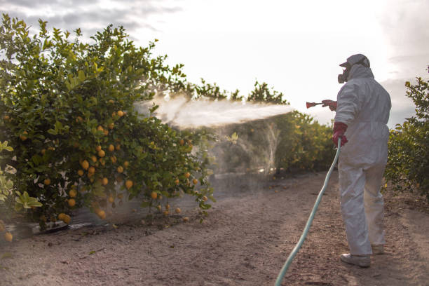 Best Emergency Pest Control  in Braham, MN