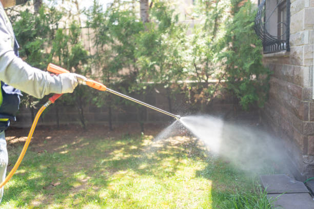 Best Affordable Pest Control Services  in Braham, MN