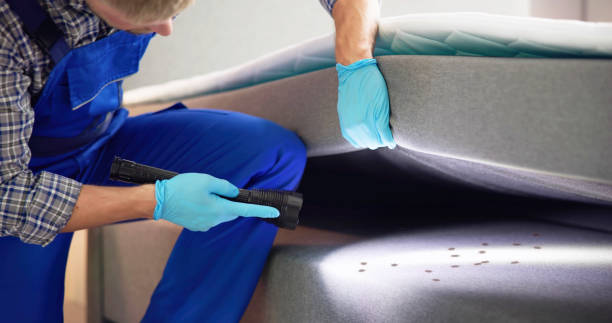 Best Best Pest Control Companies  in Braham, MN