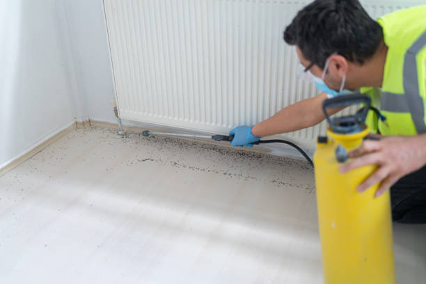 Best Bed Bug Extermination  in Braham, MN